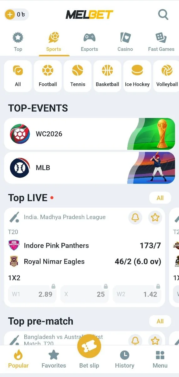 Melbet app sports section with live cricket odds